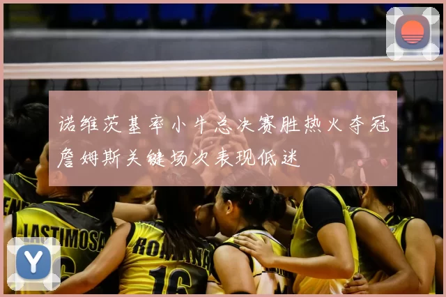 诺维茨基率小牛总决赛胜热火夺冠詹姆斯关键场次表现低迷