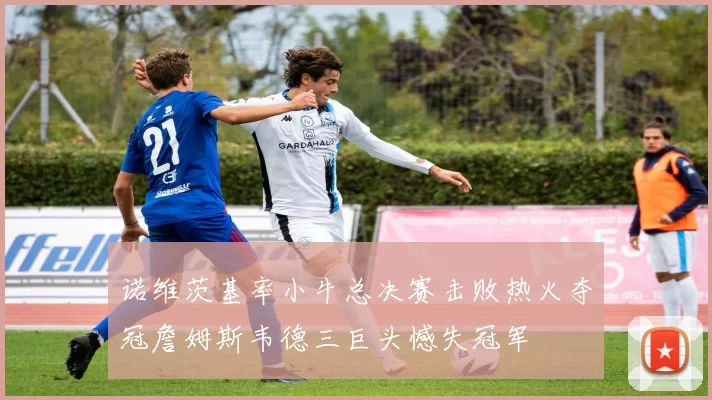 诺维茨基率小牛总决赛击败热火夺冠詹姆斯韦德三巨头憾失冠军