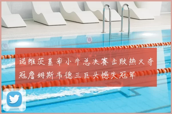 诺维茨基率小牛总决赛击败热火夺冠詹姆斯韦德三巨头憾失冠军
