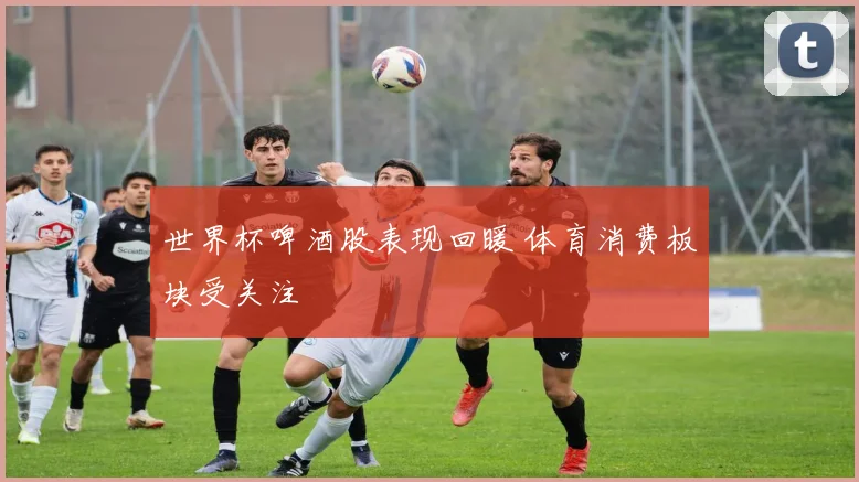 世界杯啤酒股表现回暖 体育消费板块受关注