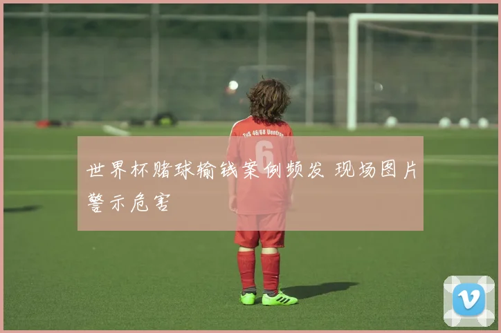 世界杯赌球输钱案例频发 现场图片警示危害